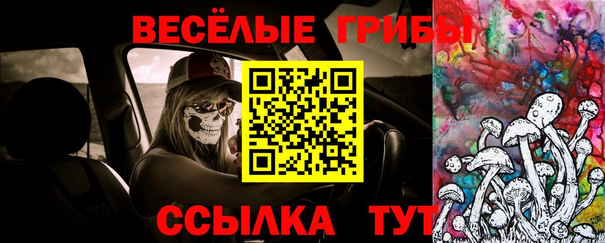 Псилоцибиновые грибы Magic Shrooms  Вход с VPN  Ртищево 